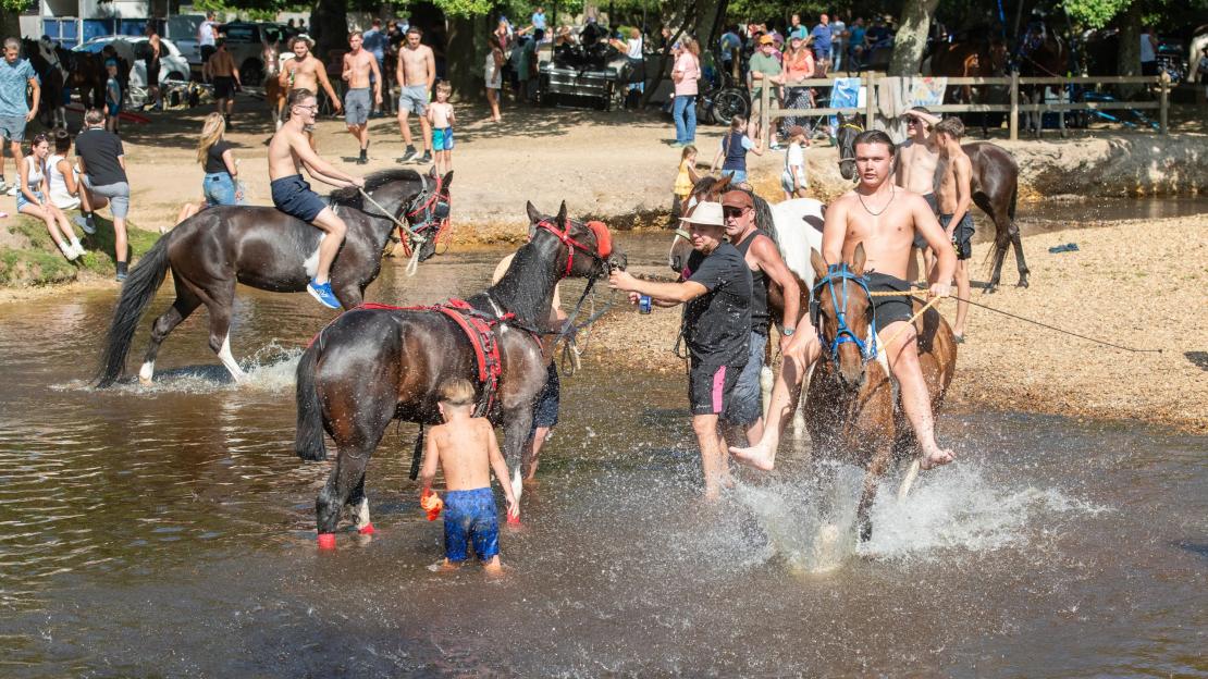 Travellers ride horses through river as hundreds descend on tiny village for Britain’s biggest pony & trap drive