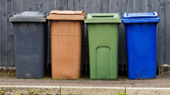 The 65p hack that stops your bin from smelling bad – it keeps pests out the garden, too