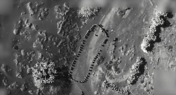 Black and white overhead image of a drone strike on Houthi soldiers.