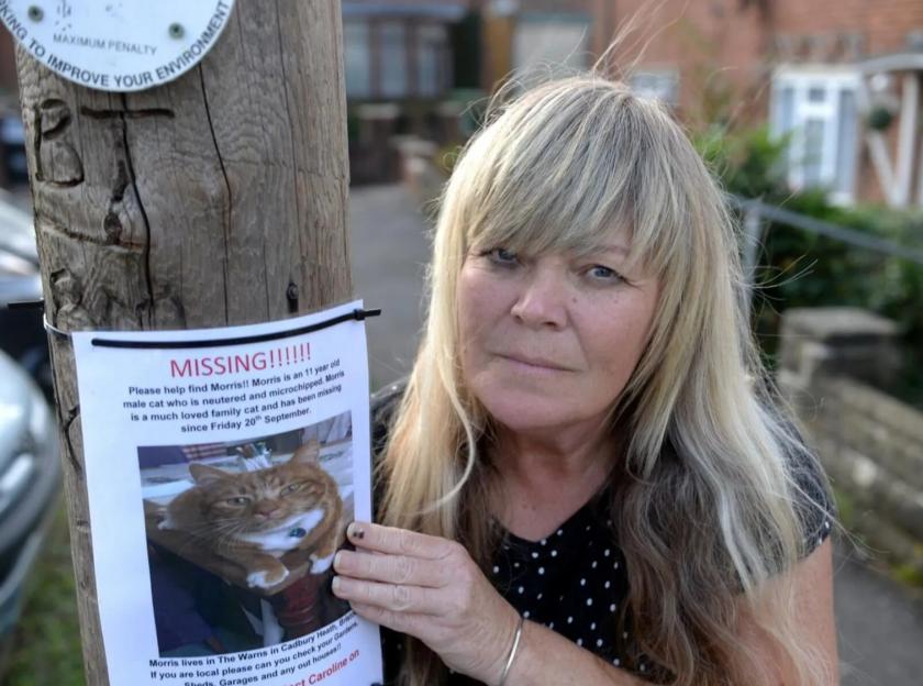 Woman holding missing cat poster.