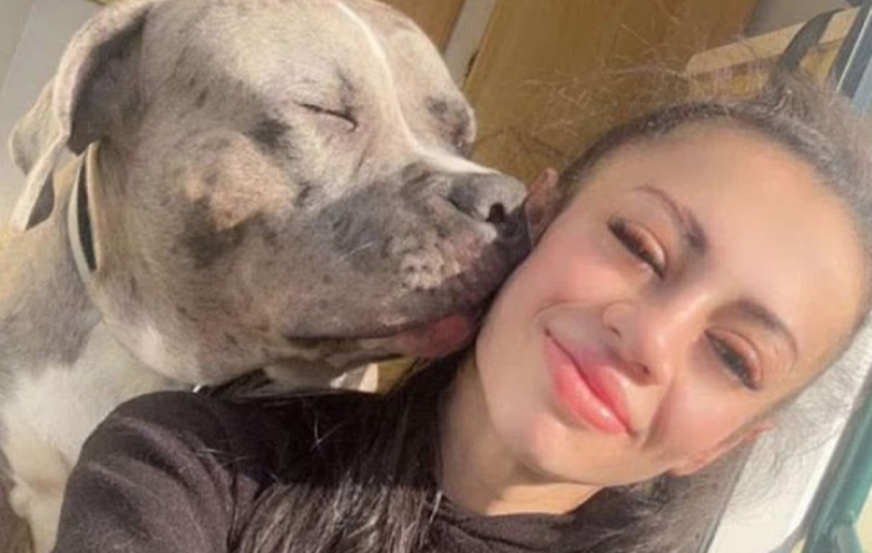 A dog licks a young woman's face.