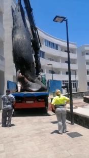 Crane lifting a dead sperm whale onto a truck.