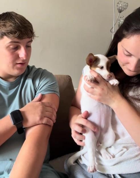 Couple holding a small puppy.