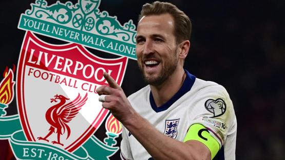 Harry Kane tipped for stunning Liverpool transfer by Premier League legend just two years after Tottenham exit
