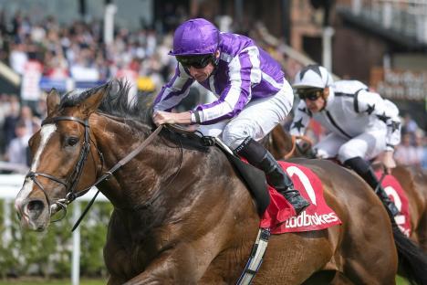 Ryan Moore riding Illinois to win a horse race.