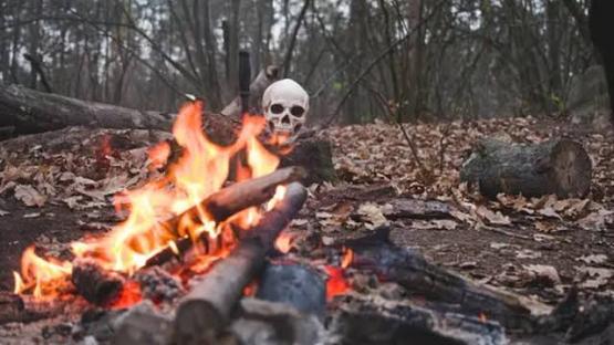 Ritual killings: Experts call for urgent action over rising cases in Northern Nigeria