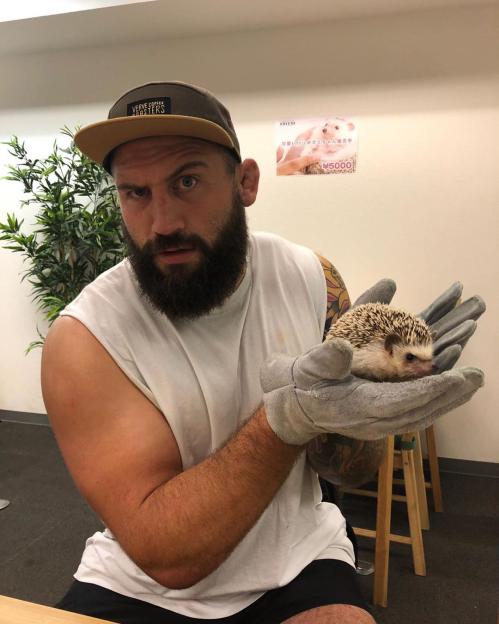 NINTCHDBPICT000531145203