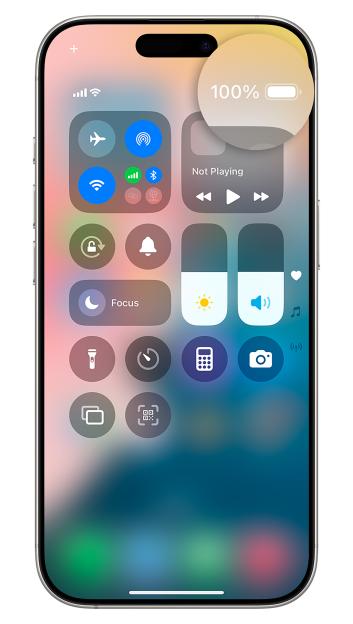 iPhone screen showing 100% battery.