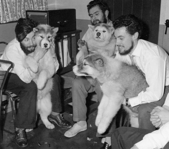 Black and white photo of men holding dogs in Antarctica.