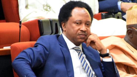 Opposition disunity a gift to Tinubu’s re-election in 2027 – Shehu Sani