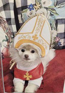 Dog dressed as the Pope.