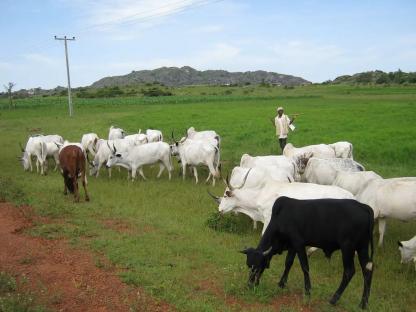 Over 80 communities taken over by Fulani terrorists in Benue, Plateau — Christian group raises alarm