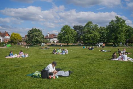 People relaxing on a grassy park lawn on a sunny day.