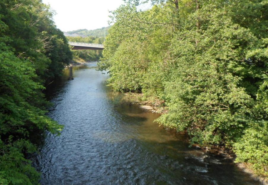 The River Taff with lush green trees on its banks and a bridge in the background.