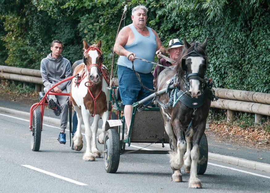 Three men driving a horse-drawn cart down a road.