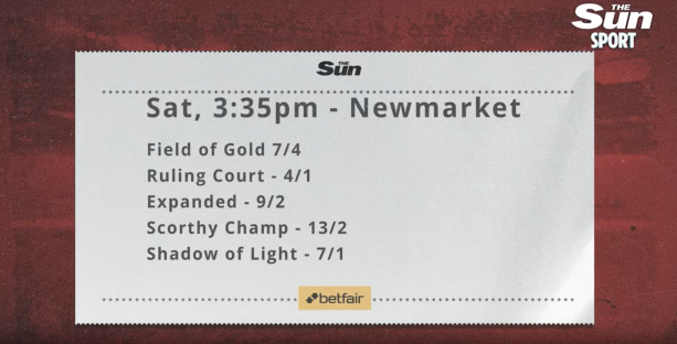 Newmarket horse racing odds.