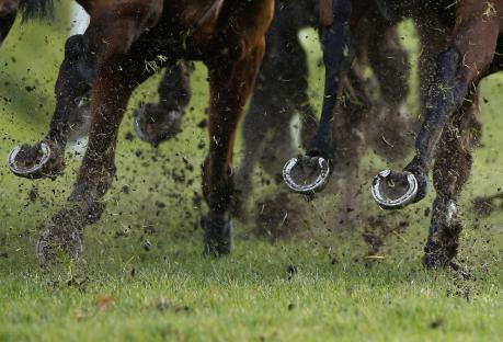 TWELVE racecourses could be BANNED from hosting fixtures under new rule