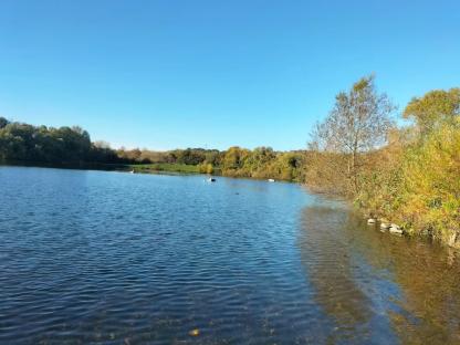 Body found in lake in search for missing schoolboy, 16, who ‘got into difficulty swimming’ at popular park
