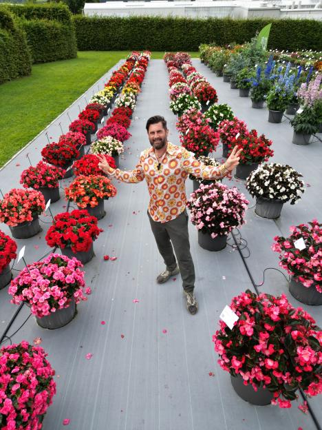 A man standing amongst rows of potted begonias.