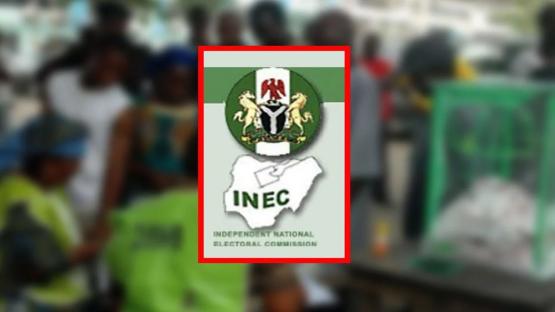 Obidient Movement calls for electoral reforms in Nigeria, unbundling INEC into three