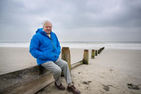 David Attenborough lands epic new BBC show just days before his 99th birthday