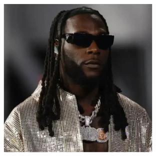 Nigerian music industry gatekeepers did everything possible to break me – Burna Boy