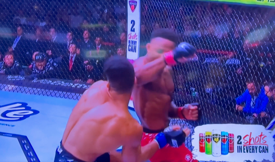 Screenshot of a mixed martial arts fight.