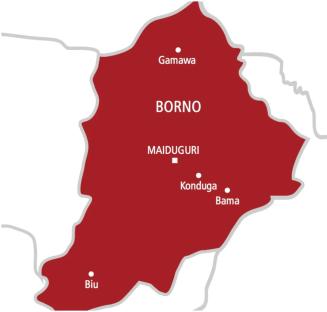 Two education officials killed in bomb explosion on Damboa–Maiduguri road
