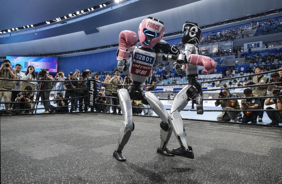 Two humanoid robots boxing in a ring.