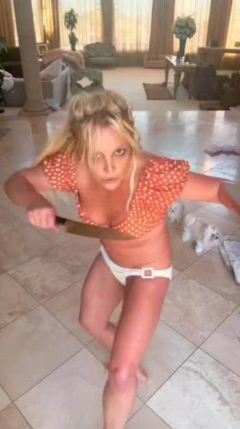 NINTCHDBPICT000851290943