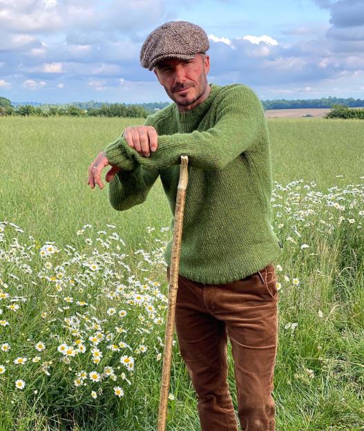 David Beckham standing in a field of daisies.
