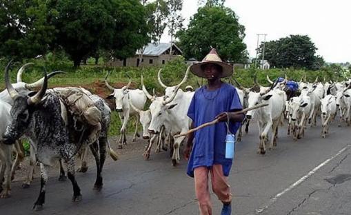 BREAKING: Fulani herdsmen given 48-hour ultimatum to vacate Benue community