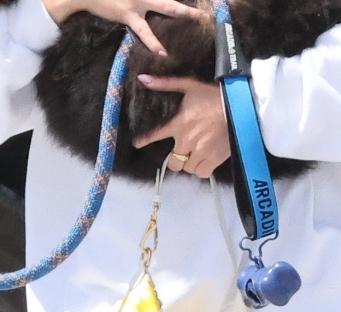 Sydney Sweeney holding a German Shepherd puppy.