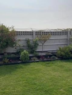 Garden with new privacy fence.