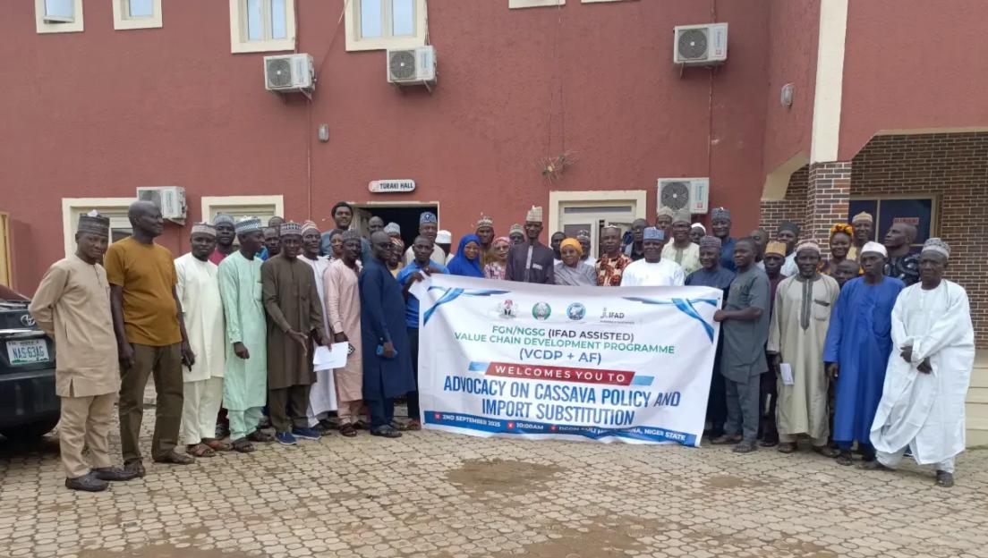 Experts call for ban on imported cassava derivatives to boost local industry