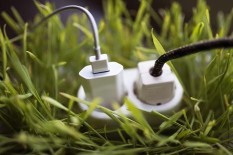 Extension cord and power adapters in grass.