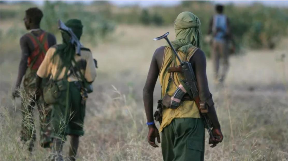 Gunmen attack Kebbi village, kill three police officers, injure civilians 