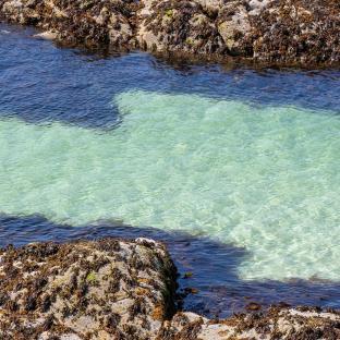 Shallow, clear water in a rocky cove.