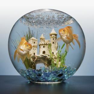 Two goldfish swimming in a round bowl with a miniature castle.