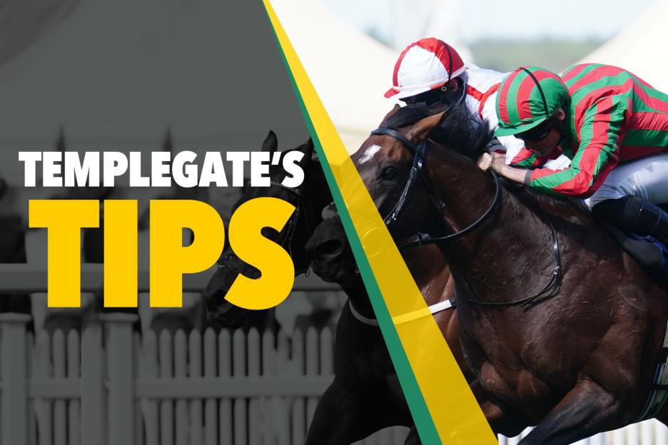 Horse racing tips: ‘Trip’s ideal and we know he wins off this mark’ – Templegate’s Thursday NAP 