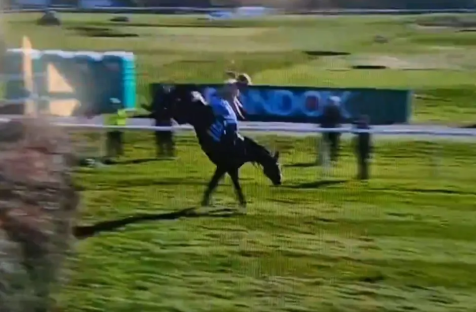 Horse falling with jockey during a race.
