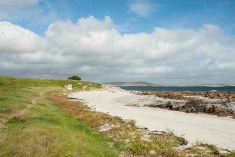 Urgent beach warning as two Brits poisoned on UK island & rushed to A&E after eating dangerous plant with NO antidote