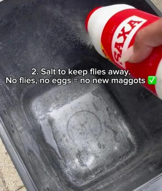 Salt being poured into a bin to keep flies away.