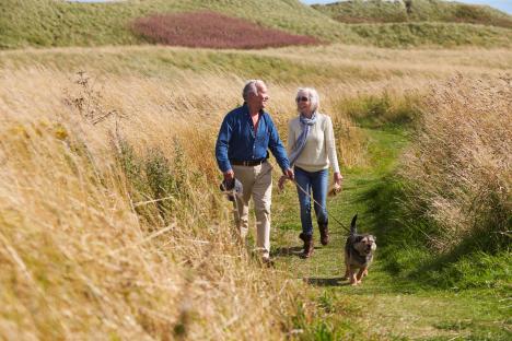 Huge £1,000 fine dog owners face for common mistake while on a walk this summer – it could be dangerous for your pet too