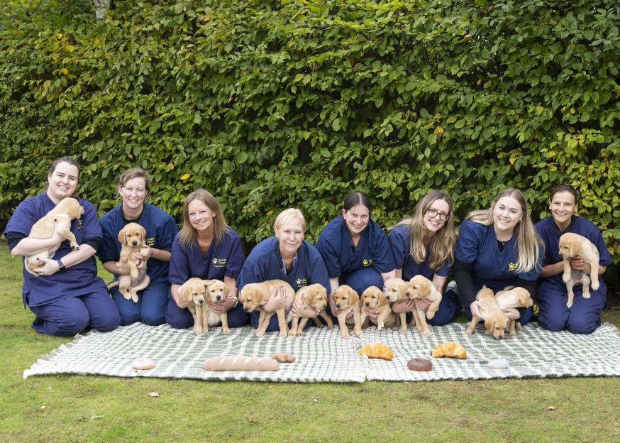 Eight women kneeling on a plaid blanket, each holding one or more of a litter of 13 golden retriever puppies nicknamed 'The Baker's Dozen', with bakery-themed toys in front of them.