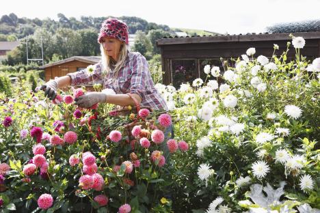 No mow May, ‘the Chelsea chop’ & pruning rules – pro gardener reveals 5 jobs you must do now, that only take 5 minutes  