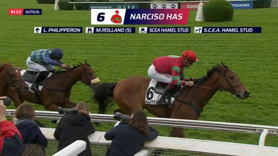 Horse race: Narciso Has winning.