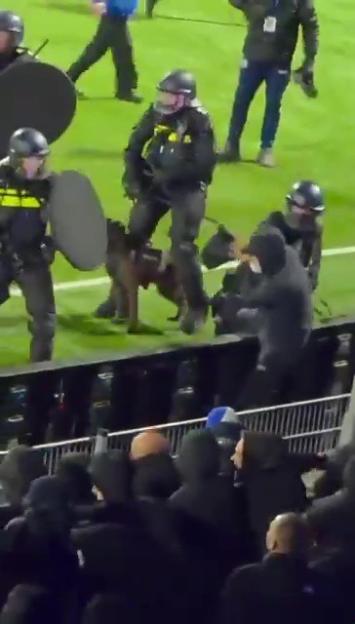 Police with a dog confronting a man in the stands at a stadium.