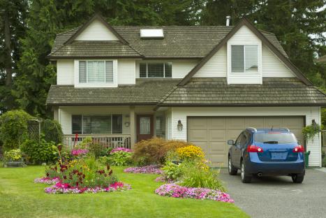 I’m a gardening expert – the hidden danger in your driveway that could be silently killing your plants