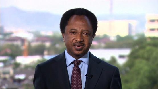 2027: Put your houses in order, stop accusing Tinubu – Shehu Sani tells PDP, LP, others